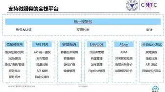 云服务器属于哪类服务，云服务器，企业数字化转型的重要资产解析