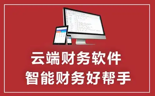 财务软件用云服务器的弊端，云服务器在财务软件应用中的弊端与应对策略