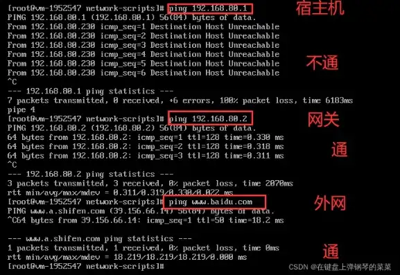 虚拟机和虚拟机ping不通，深入剖析虚拟机之间ping不通的原因及解决方案