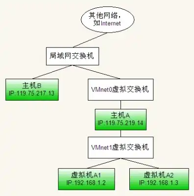 vm虚拟机与本机组网的区别，深入探讨VM虚拟机与本机组网的差异与优劣