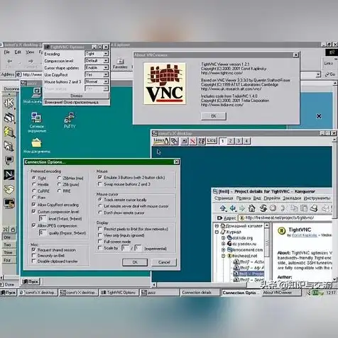 vnc远程软件的服务器是什么，基于云服务器的VNC远程操控技术实现与优化