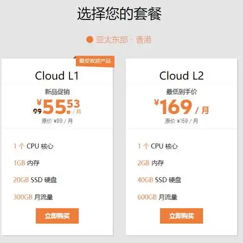 香港云服务器10元一年，超值优惠仅需10元/年，香港云服务器带你开启高效便捷的网络之旅！