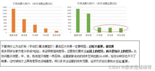 阿里云服务器崩溃意味着什么问题，阿里云服务器崩溃背后的深层问题与启示