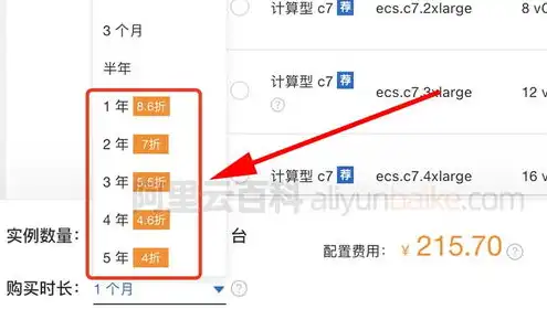 阿里云服务器购买费用，2023年阿里云服务器购买价格解析，一年费用详解及优惠攻略