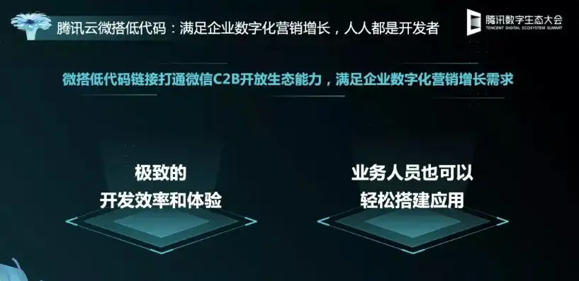 腾讯云服务器网站，腾讯云服务器，赋能企业数字化转型，助力企业快速成长