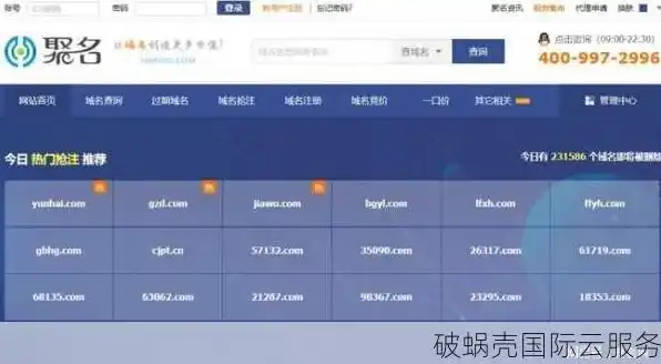 网域名注册查询入口，全网独家揭秘，Wang域名注册攻略，教你轻松抢占顶级域名！