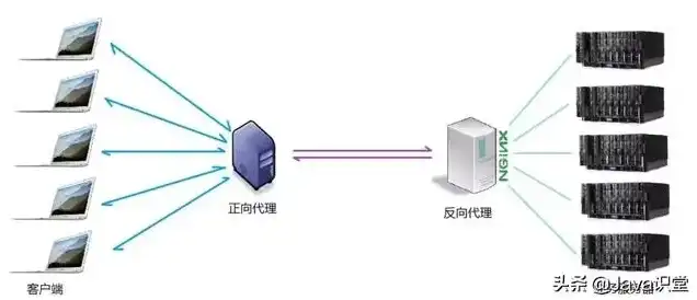 服务器的作用及工作原理，深入解析服务器的作用及工作原理，守护网络的坚实后盾