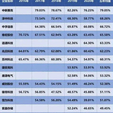 云服务盈利模式分析，云服务盈利模式解析，多元策略助力企业盈利增长