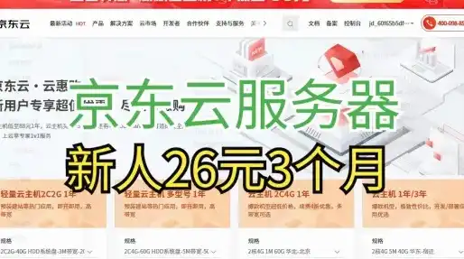 京东云免费服务器有哪些，揭秘京东云免费服务器，类型、特点及使用攻略