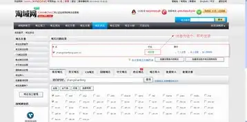 怎么查网站域名注册人信息，深入解析网站域名注册信息查询，方法、步骤及注意事项