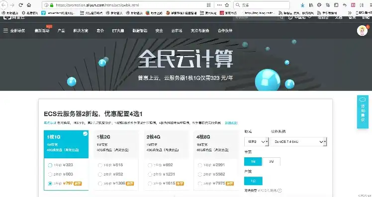 阿里云服务器购买指南官网，阿里云服务器购买指南，全面解析、实用技巧与案例分析