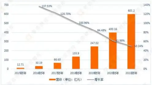 云服务器租用哪家好?，云服务器租用哪家好？全面解析各大云服务提供商的优势与特点