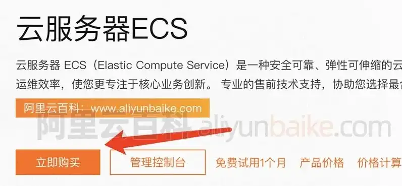 阿里云国际版服务器购买方法，阿里云国际版服务器购买指南，一站式选购攻略及操作流程详解