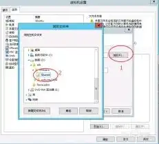 vmware虚拟机如何与主机共享文件夹数据，VMware虚拟机与主机共享文件夹的详细教程及操作步骤