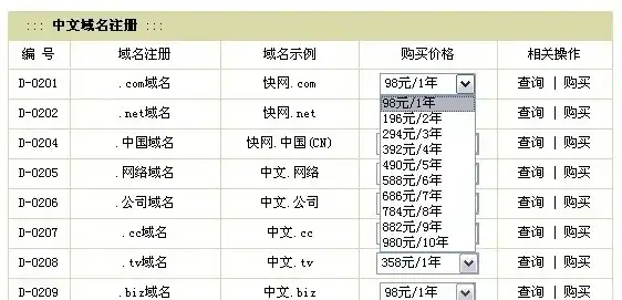 注册中文域名多少钱一年，揭秘中文域名注册价格，一年费用及性价比分析