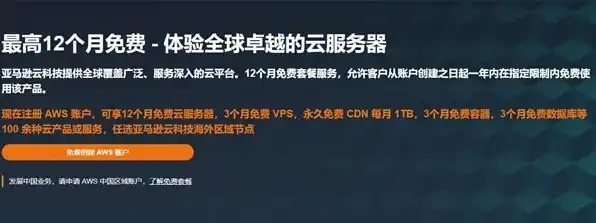 亚马逊云服务器收费标准是什么，亚马逊云服务器收费标准详解，价格构成、优惠活动及适用场景全面解析