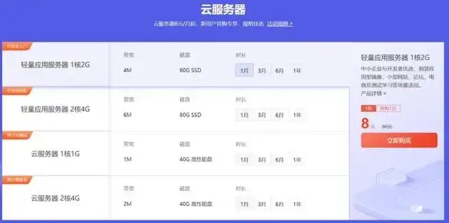 云服务器一年多少钱?，云服务器一年费用一览，不同品牌、配置及优惠活动深度解析