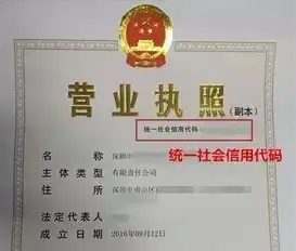 域名注册需要提供营业执照吗为什么不能注册，域名注册，为何营业执照是不可或缺的凭证？详解其重要性及注意事项