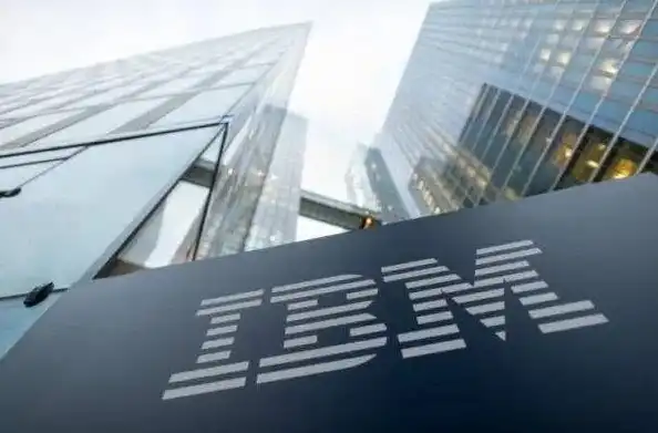 ibm服务器是什么牌子，揭秘IBM服务器，全球领先的品牌背后的故事与实力解析