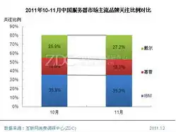 国产化服务器品牌前十大排名榜，中国服务器市场崛起，国产化服务器品牌前十大排名榜深度解析