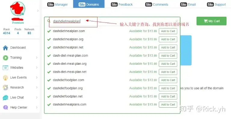 国外便宜的域名注册商，揭秘国外域名注册商，如何选择既好又便宜的域名注册服务？