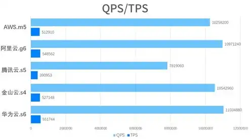 aws的云服务器和vps，AWS云服务器与VPS对比，全面解析两者的优势与适用场景