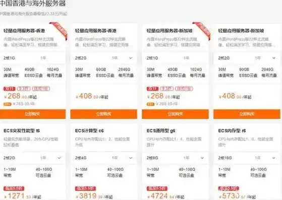 阿里云国际版服务器购买，阿里云国际版服务器购买指南，价格、配置与优势一览
