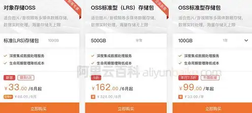 oss对象存储价格，深入解析阿里云OSS对象存储价格体系，全面了解计费规则与优化策略