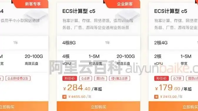 阿里云服务器租用费用多少钱一年，阿里云服务器租用费用解析，一年费用明细及节省攻略