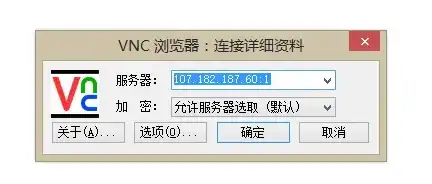 手机版vncviewer教程，手机变VNC服务器，手机版VNCviewer使用教程详解