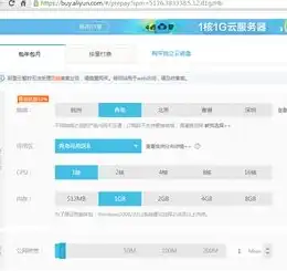 阿里云服务器购买多少钱，详解阿里云服务器购买攻略，不同价格配置解析及性价比对比