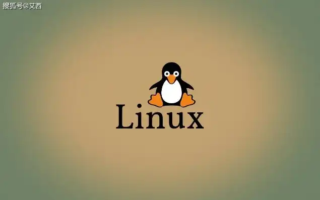 看linux服务器的操作系统的软件，深入剖析Linux服务器操作系统，功能、应用与优势