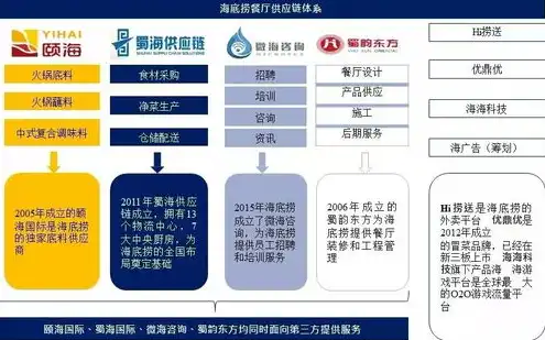 云服务是谁研发的，揭秘云服务，探究其背后的研发团队与技术创新