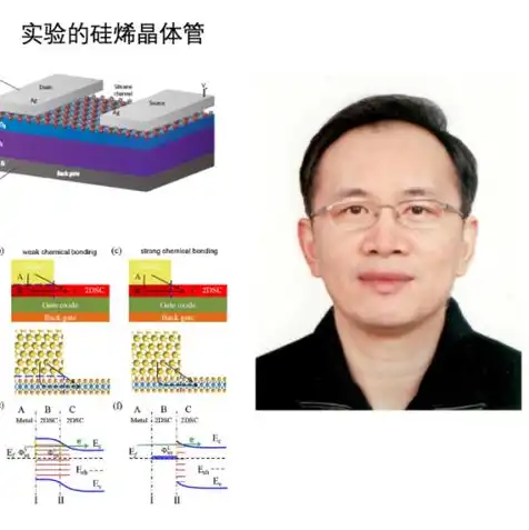 服务器物理地址查询，深入解析服务器物理地址，探索网络世界的基石