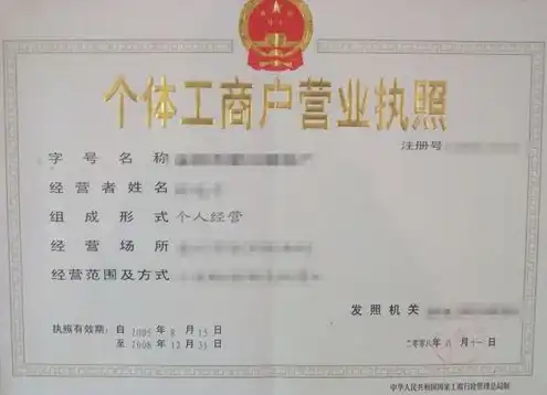 域名注册需要提供营业执照吗为什么呢，域名注册需提供营业执照，法律与实用解读