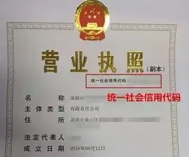 域名注册需要提供营业执照吗为什么呢，域名注册需提供营业执照，法律与实用解读