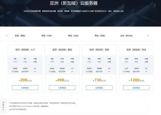 新加坡虚拟云主机多少钱，新加坡虚拟云主机价格全面解析，性价比之选，助力企业高效发展