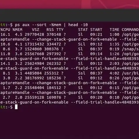 linux服务器操作系统怎么看内存大小，深入解析Linux服务器操作系统内存大小的查看与优化