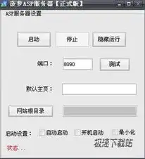 asp 服务器，深入解析ASP服务器配置，从基础到高级