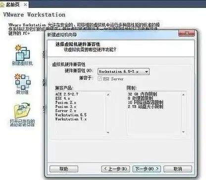 vmware 共享，深入解析VMware共享虚拟机功能，操作步骤与实际应用详解