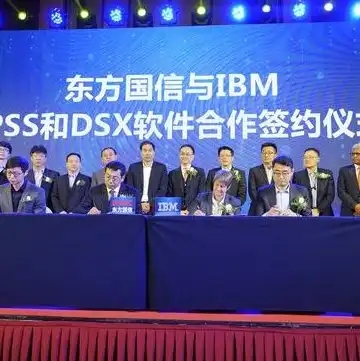 ibm服务器管理软件是什么，深入解析IBM服务器管理软件，功能、优势与实际应用