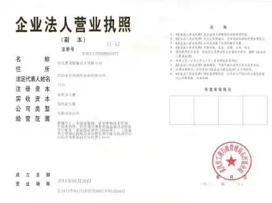 公司注册域名需要哪些条件和资料，公司注册域名的必备条件与资料详解