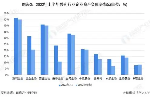 服务器龙头股的上市公司，2023年中国服务器上市公司龙头股全景解析及最新排行榜