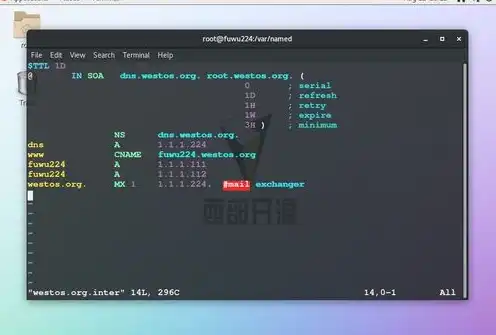 电脑做linux系统服务器怎么选，Linux系统服务器构建指南，选型与部署策略详解