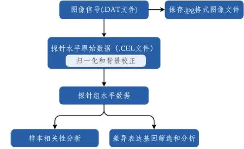 对象存储与数据库的区别，深入剖析对象存储与数据库，差异与融合之道