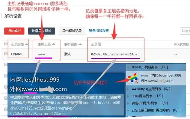 域名注册记录查询官网网址，全面解析域名注册记录查询官网，功能、步骤与注意事项