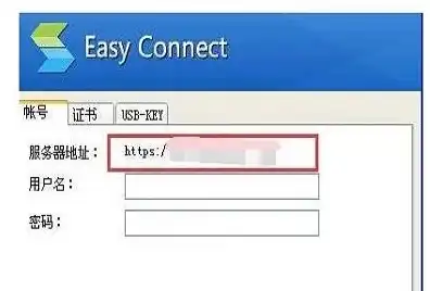 easyconnect服务器地址怎么填国寿财险，国寿财险easyconnect服务器地址填写指南及详细步骤