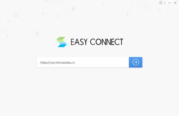 easyconnect服务器地址怎么填国寿财险，国寿财险easyconnect服务器地址填写指南及详细步骤