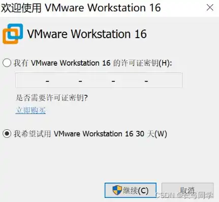 vmware虚拟机win7安装，VMware虚拟机环境下的Windows 7系统安装指南与技巧分享