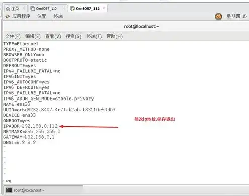 vmware修改虚拟机ip，VMware下修改虚拟机IP地址的详细步骤与技巧解析